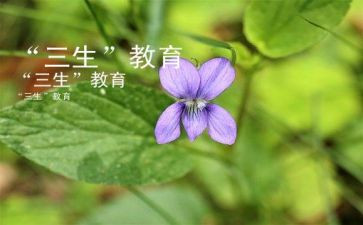 我的初三生活作文6篇