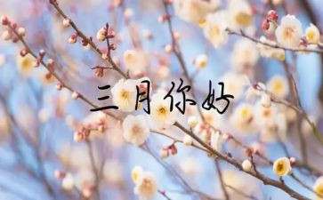 幼儿园三月总结8篇