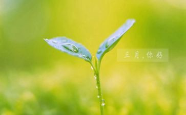 幼儿大班三月工作计划5篇