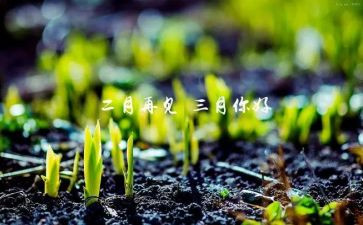 三月安全工作总结5篇