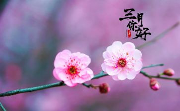 幼儿园三月份班级工作总结8篇