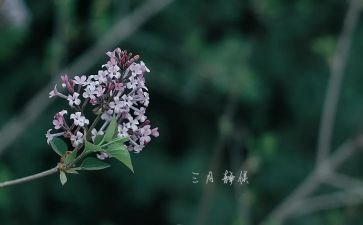 幼儿园二三月工作总结7篇