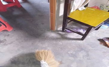 扫除黑恶的心得体会6篇