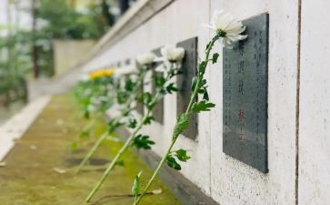 扫墓心得体会7篇