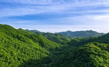 四年级写夏天的山作文8篇