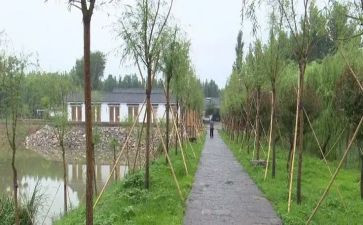 庵上湖村总结报告模板8篇