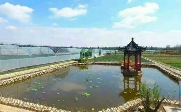 庵上湖村总结报告精选8篇