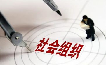 政治与社会心得体会7篇