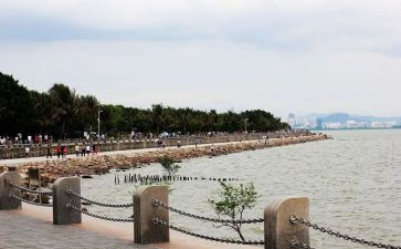 2024深圳中考作文8篇