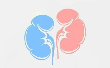 肾经心得体会优质6篇