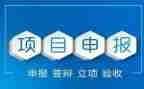 申报中一述职报告8篇