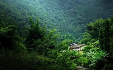 留在我记忆深处作文5篇