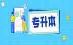 升本的心得体会6篇