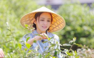 系生活演讲稿优质7篇