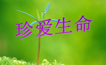 生命的空隙作文参考5篇