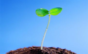珍爱生命演讲稿优秀7篇