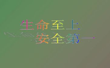 安全至上生命至上心得体会5篇