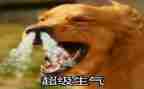 他生气了作文600字通用8篇