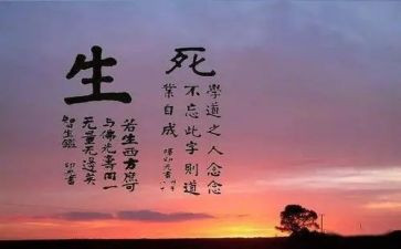生与死作文800字作文通用8篇