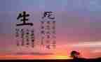 生与死作文800字作文通用8篇