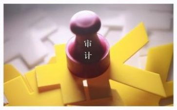 审计的演讲稿6篇
