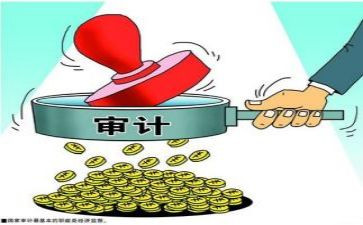 审计办工作总结最新6篇