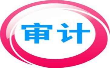 2023审计所工作计划优质8篇