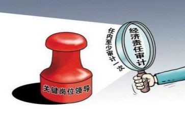 审计年终工作总结个人总结优质8篇