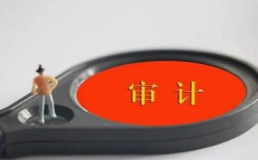 内部审计报告总结7篇