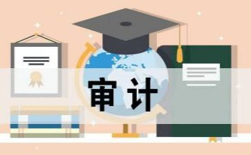 审计专业的心得体会6篇