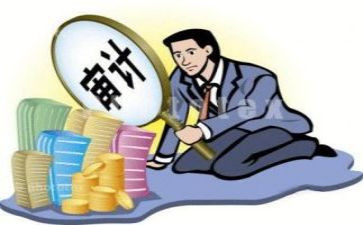 审计总个人总结最新8篇