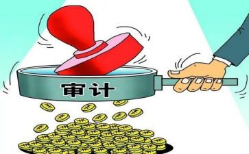 审计工作总结模板参考6篇