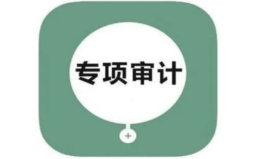 内部审计室工作计划5篇
