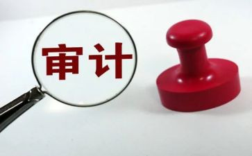 审计人述职报告6篇