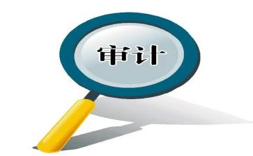 审计人述职报告推荐5篇