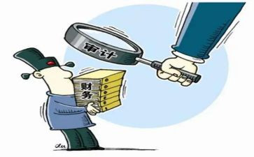 审计组的演讲稿通用8篇