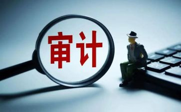 审计心得体会范文6篇