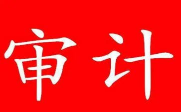 审计所工作总结优秀6篇