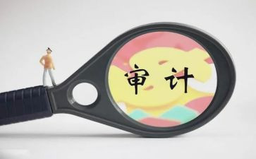 审计办工作总结精选6篇