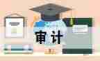 审计专业的心得体会6篇