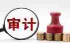 总审计师述职报告7篇