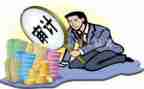 审计总个人总结最新8篇