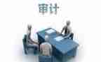 审计自查工作报告6篇