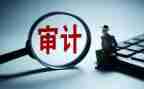 干内部审计的心得体会6篇