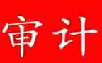审计所工作总结优秀6篇