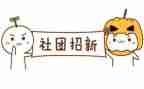 上社团的心得体会模板8篇