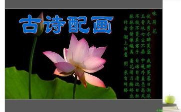 诗经的阅读心得7篇