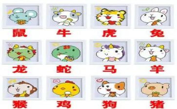 《十二生肖》教案6篇