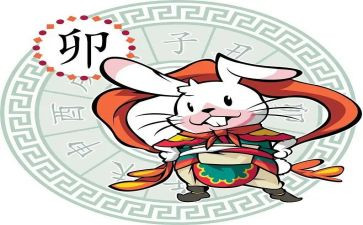 十二生肖鼠的作文7篇