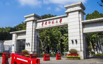 小学个人述职报告教师范文优质5篇